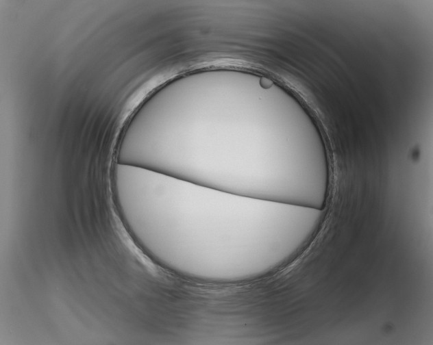 X0000116801282200912181109