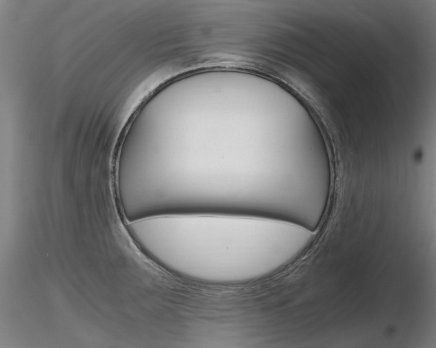 X0000116801283200912181109
