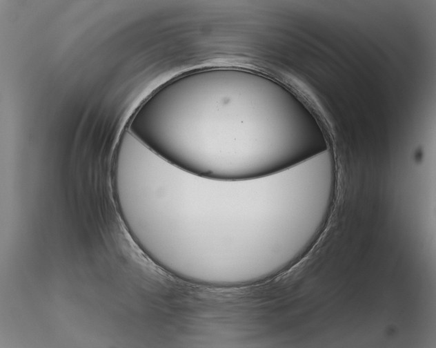 X0000116801284200912181109