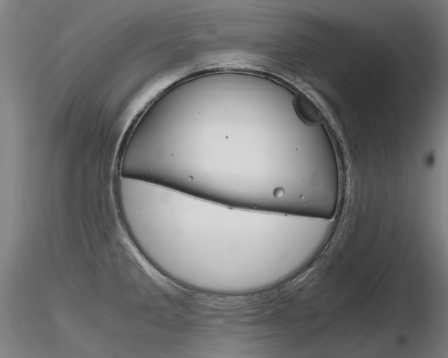 X0000116801285200912181109
