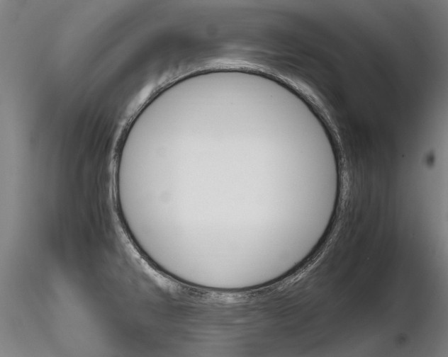 X0000116801286200912181109
