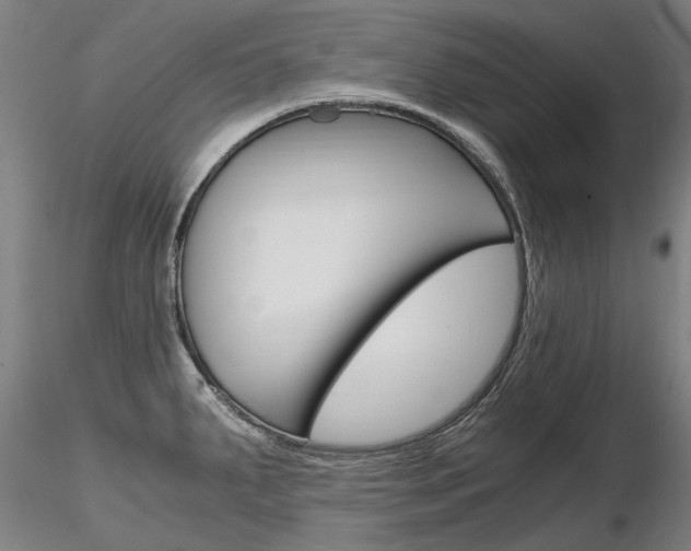 X0000116801287200912181109