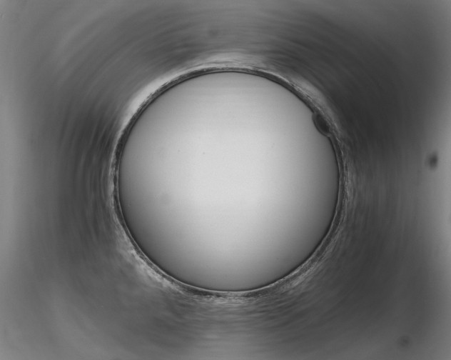 X0000116801288200912181109