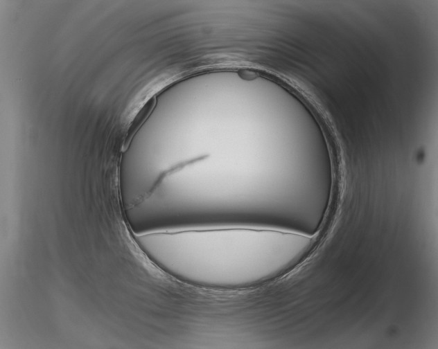 X0000116801289200912181109