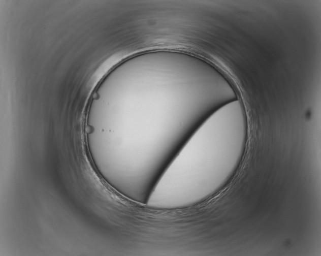 X0000116801291200912181109