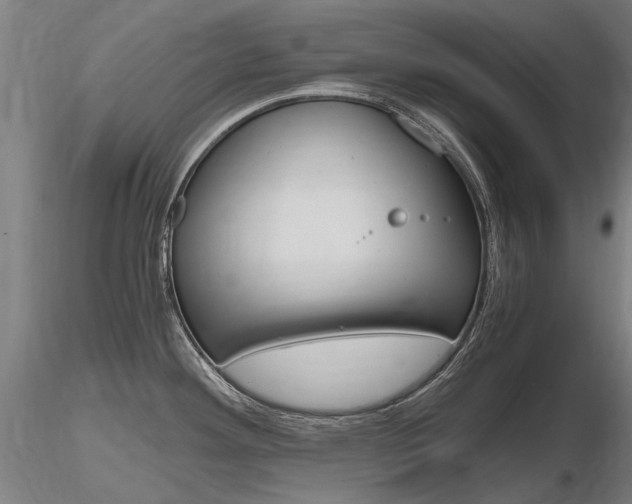 X0000116801292200912181109