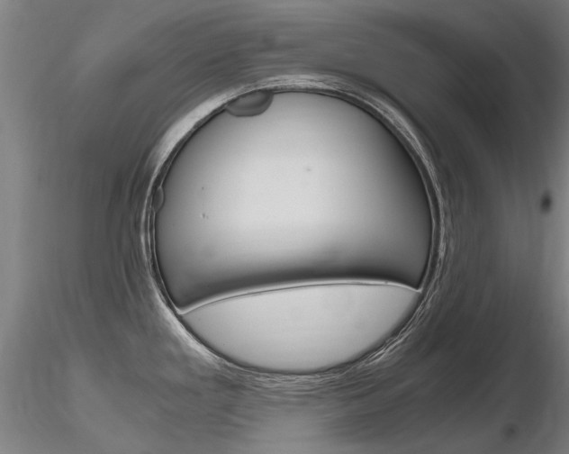 X0000116801293200912181109