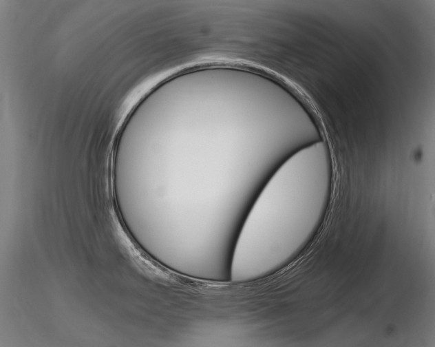 X0000116801295200912181109