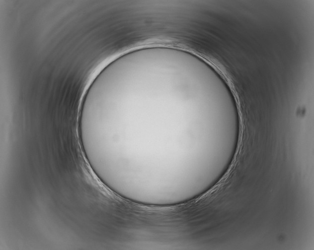 X0000116801296200912181109