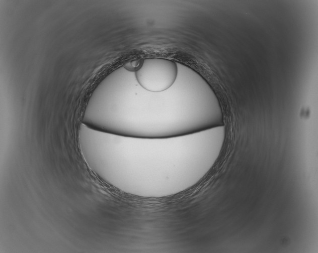 X0000116801297200912181109