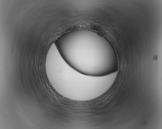 X0000116801298200912181109