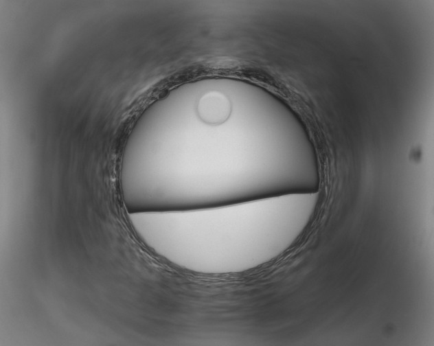 X0000116801301200912181109