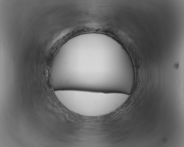X0000116801302200912181109