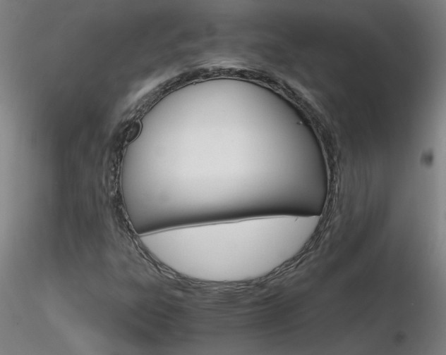 X0000116801303200912181109