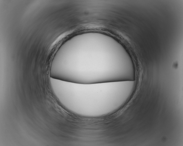 X0000116801306200912181109