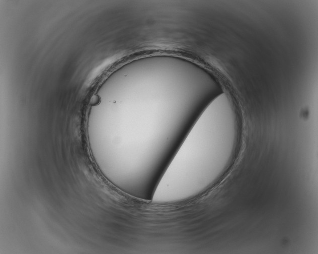 X0000116801307200912181109
