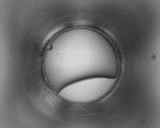 X0000116801309200912181109