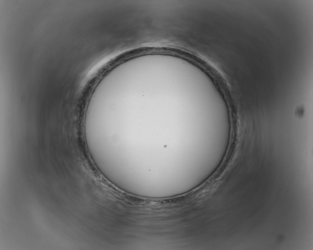 X0000116801311200912181109
