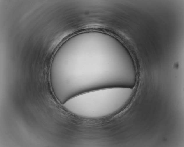 X0000116801313200912181109
