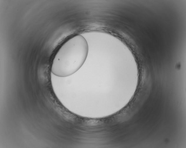 X0000116801314200912181109