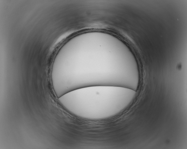 X0000116801315200912181109