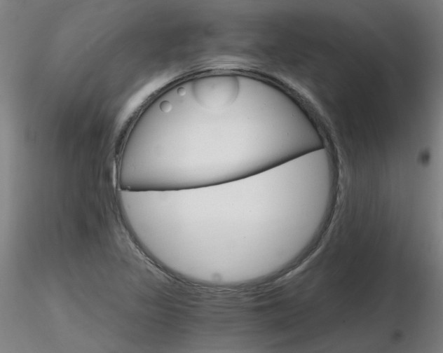 X0000116801317200912181109