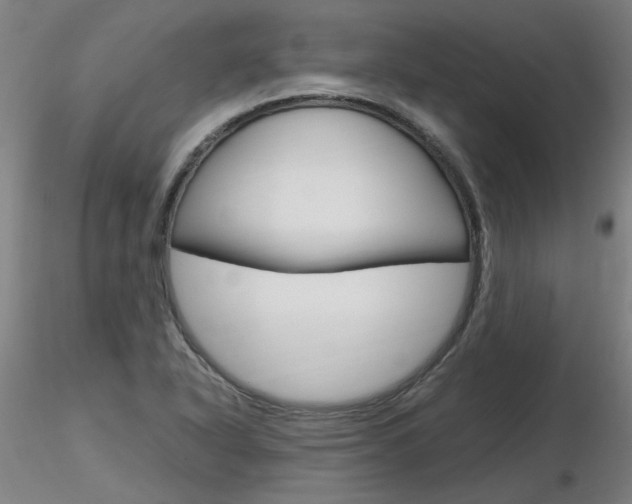 X0000116801318200912181109