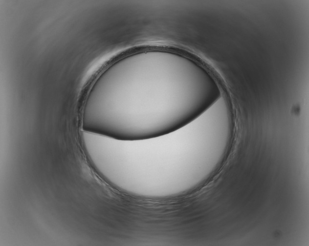 X0000116801319200912181109