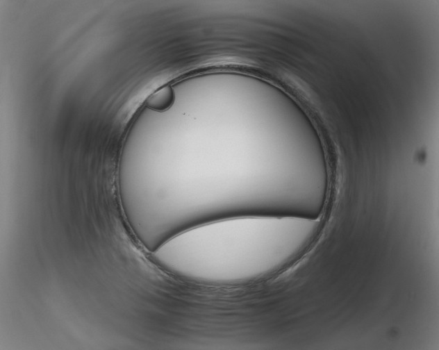 X0000116801321200912181109