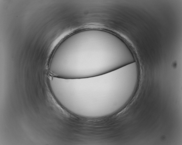 X0000116801325200912181109