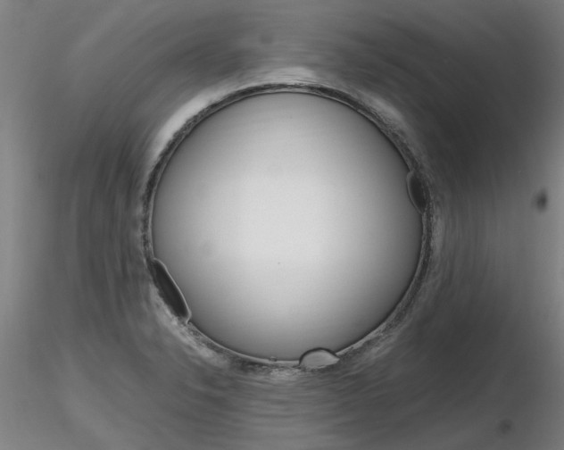 X0000116801326200912181109