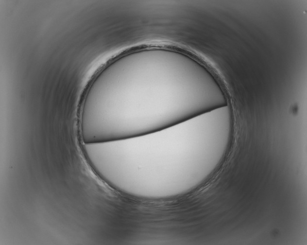 X0000116801327200912181109