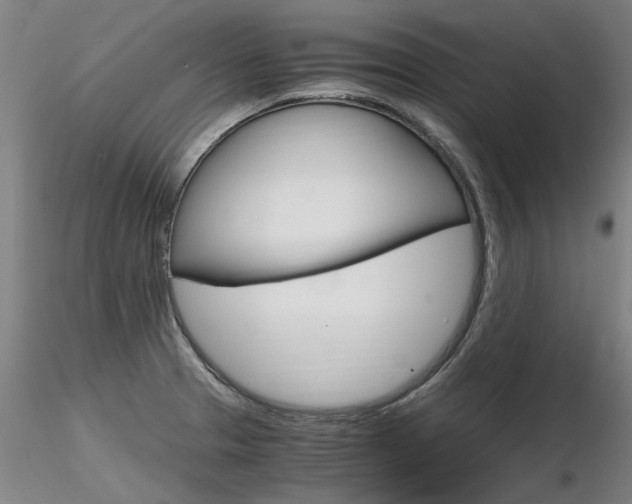 X0000116801329200912181109