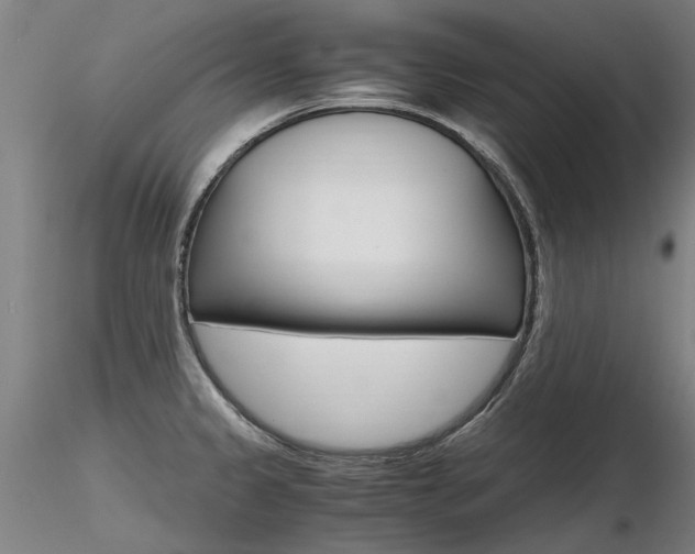 X0000116801333200912181109