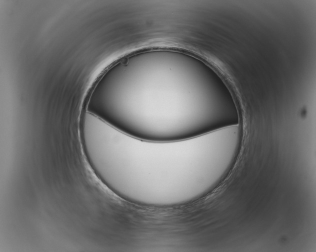 X0000116801334200912181109