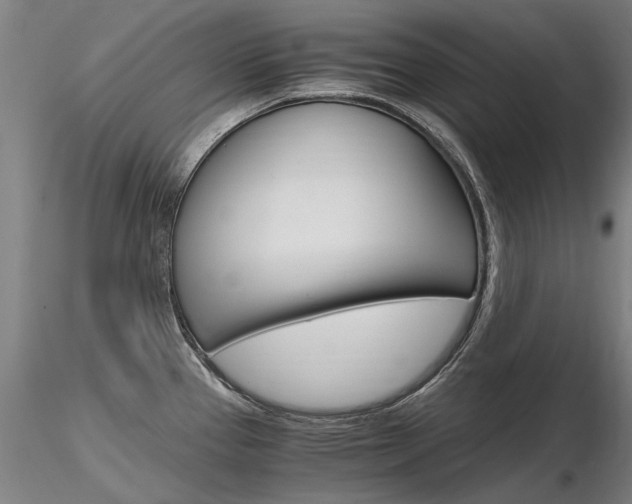 X0000116801337200912181109