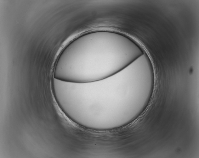 X0000116801341200912181109
