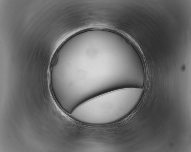 X0000116801343200912181109