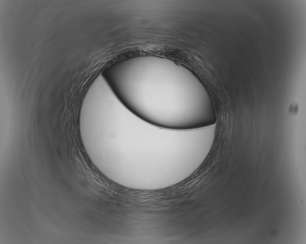 X0000116801345200912181109