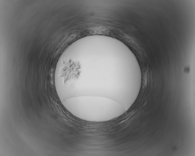 X0000116801346200912181109