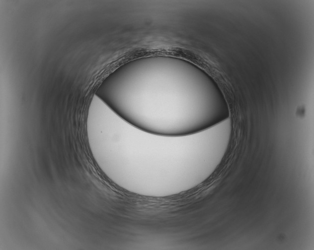 X0000116801348200912181108