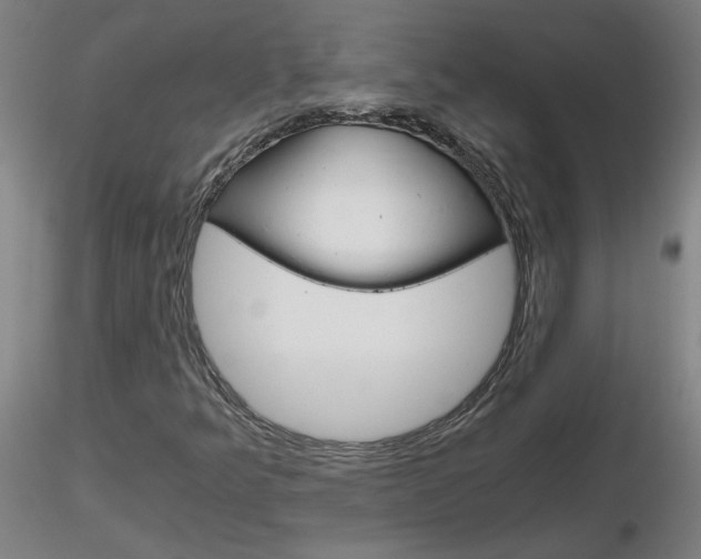 X0000116801349200912181108