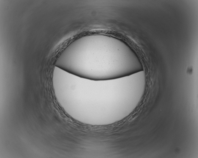 X0000116801351200912181108