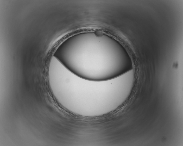 X0000116801352200912181108