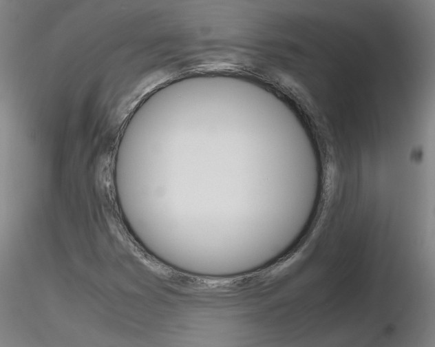 X0000116801353200912181108