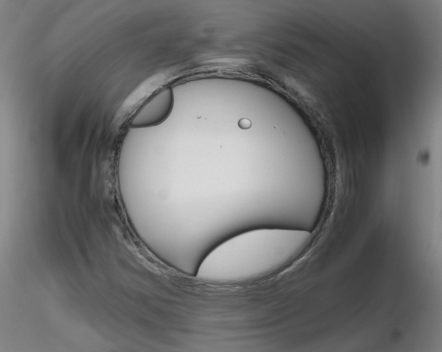 X0000116801354200912181108