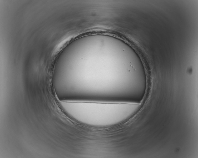 X0000116801355200912181108