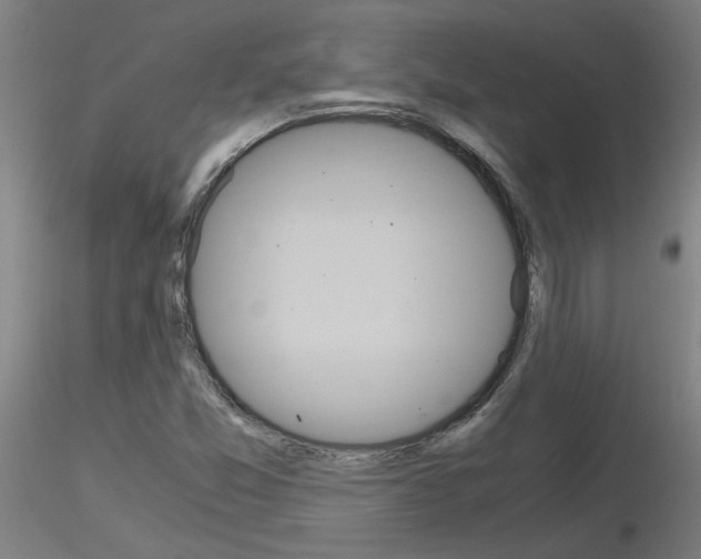 X0000116801357200912181108