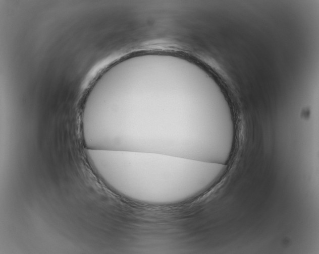 X0000116801358200912181108