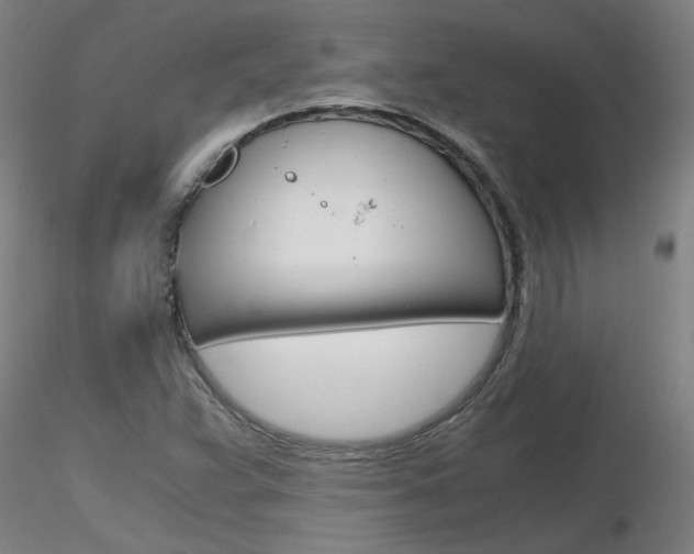 X0000116801359200912181108